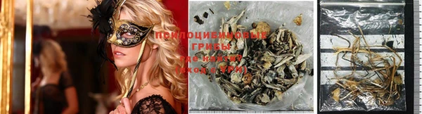 PSILOCYBIN Надым