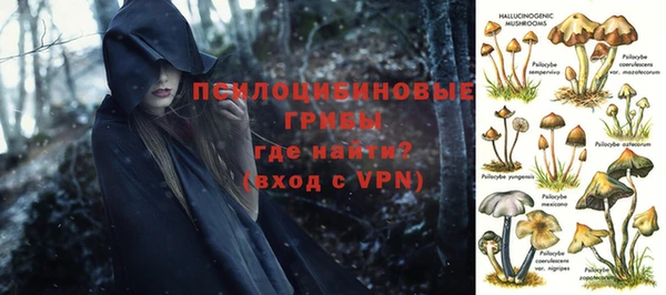 ПСИЛОЦИБИНОВЫЕ ГРИБЫ Наволоки