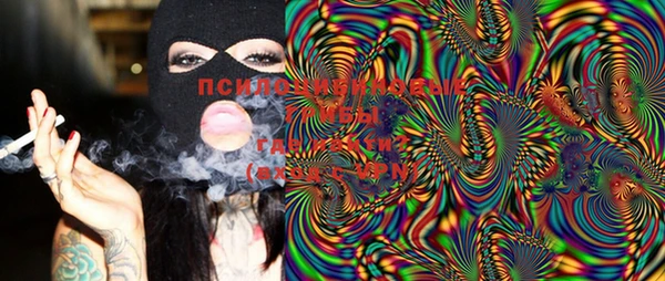 PSILOCYBIN Надым